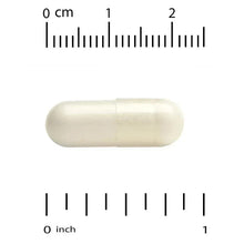 Saffron extract veggie capsule, off-white, shown with size scale