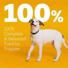White puppy with 100% complete and balanced food graphic for puppies