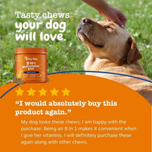 Dog multivitamin bite jar with orange lid beside a hand-feeding dog outdoors
