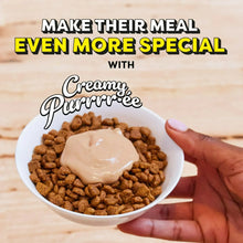 Temptations creamy Purrrrree lickable puree treat shown spooned over cat food