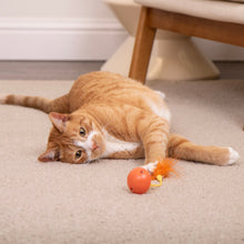 Interactive cat toy: orange ball with orange feather on string