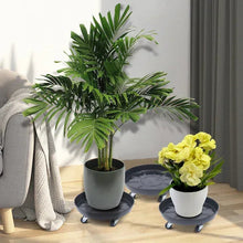 Black round plant caddies with wheels under potted houseplants