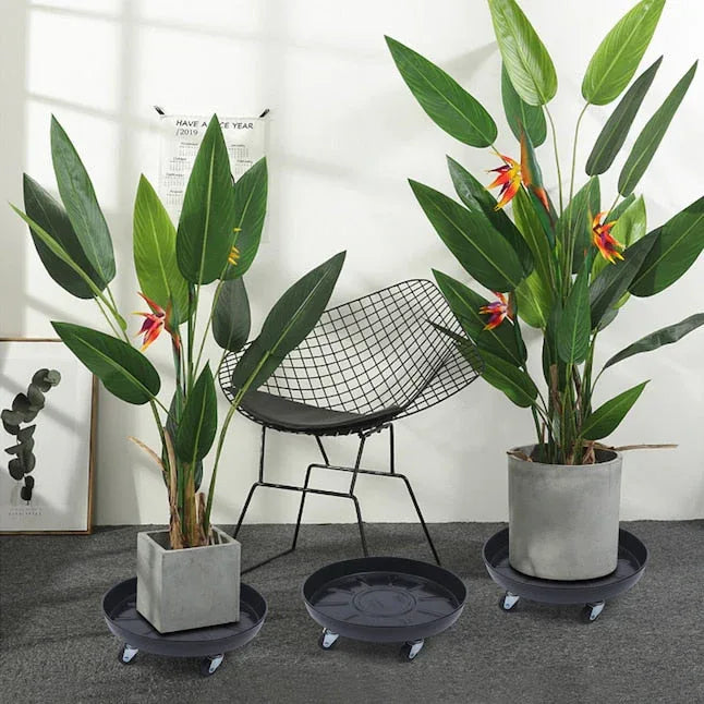 CNCEST 14.17-in L x 14.17-in D x 3.94-in H Black 3 Pieces Included Plant Caddy - USA MEGA SHOP