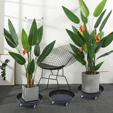 Black round plant caddy tray with caster wheels under a potted plant