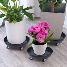 Black round plant caddy tray with caster wheels under a potted flower