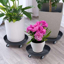 Black round plant caddy with wheels holding potted flowers and plants