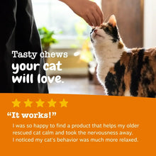 Cat calming bite treats with tabby cat being offered a treat, orange promo text