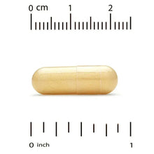 Milk thistle extract veggie capsule, shown next to inch and cm scale