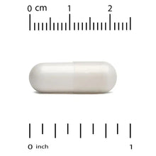 Mastic gum vegetable capsule, white, shown with size ruler