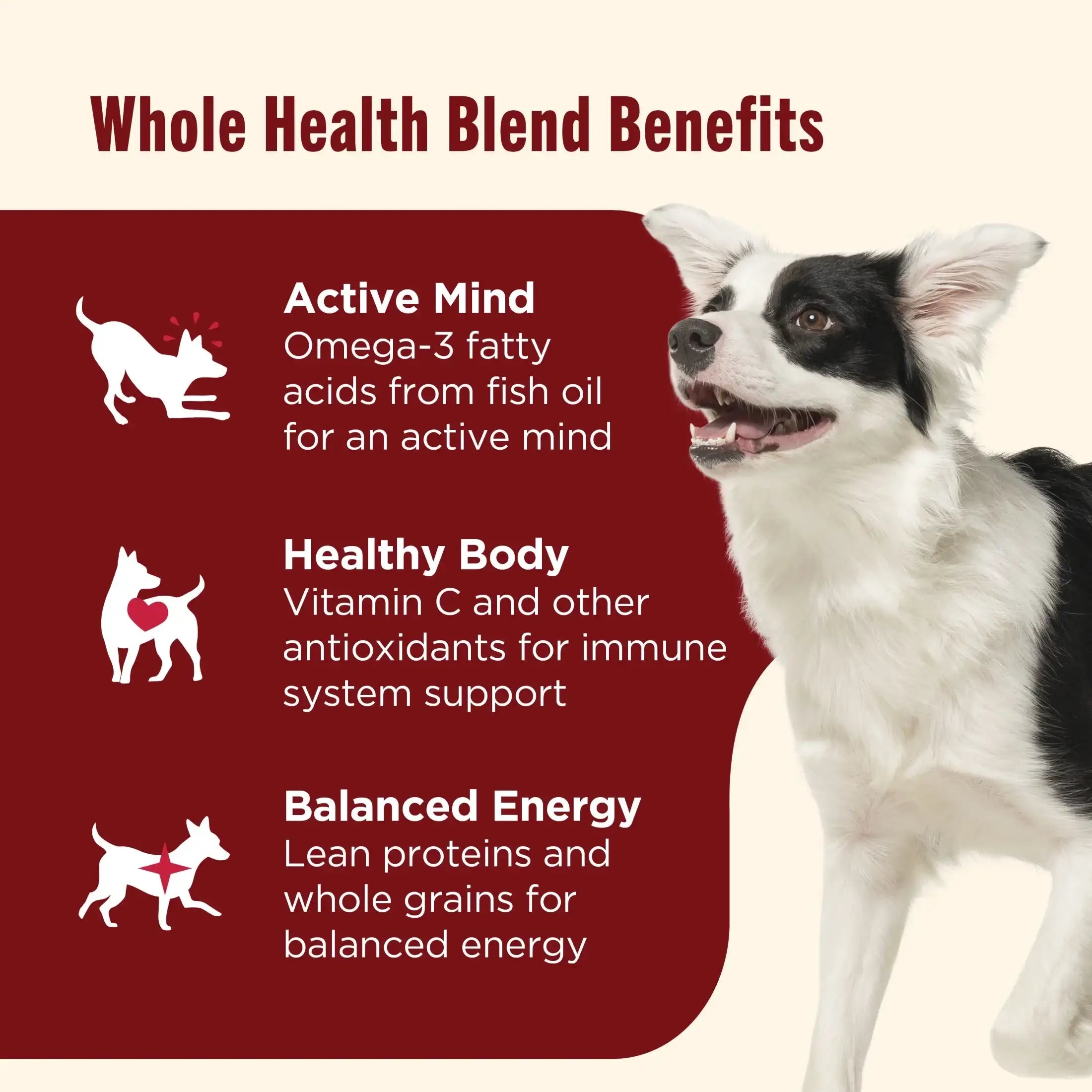 Nutrish Real Beef, Pea & Brown Rice Recipe Whole Health Blend Dry Dog Food, (Rachael Ray)