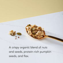 Organic granola in a spoon, nut-and-seed cluster with pumpkin and flax pieces