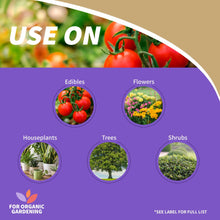 Neem oil spray usage chart label for edibles, flowers, houseplants, trees, shrubs