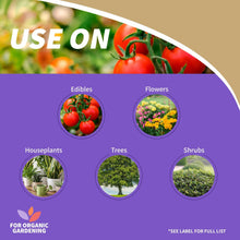Use-on chart for neem oil spray: edibles, flowers, houseplants, trees, shrubs.