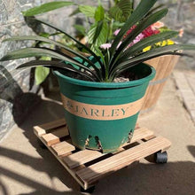 Wooden plant caddy with caster wheels holding a teal potted plant.