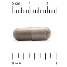 Brown two-piece veggie capsule with measuring scale markings, approx 1 inch