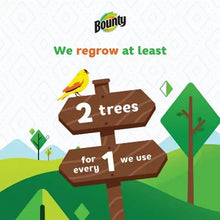 Paper towel eco infographic with “We regrow” message and tree icons