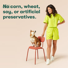Dog meal topper claims graphic with seated dog on red chair