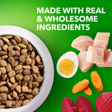 Dry dog food kibble bowl with chicken pieces, carrots, and other wholesome ingredients