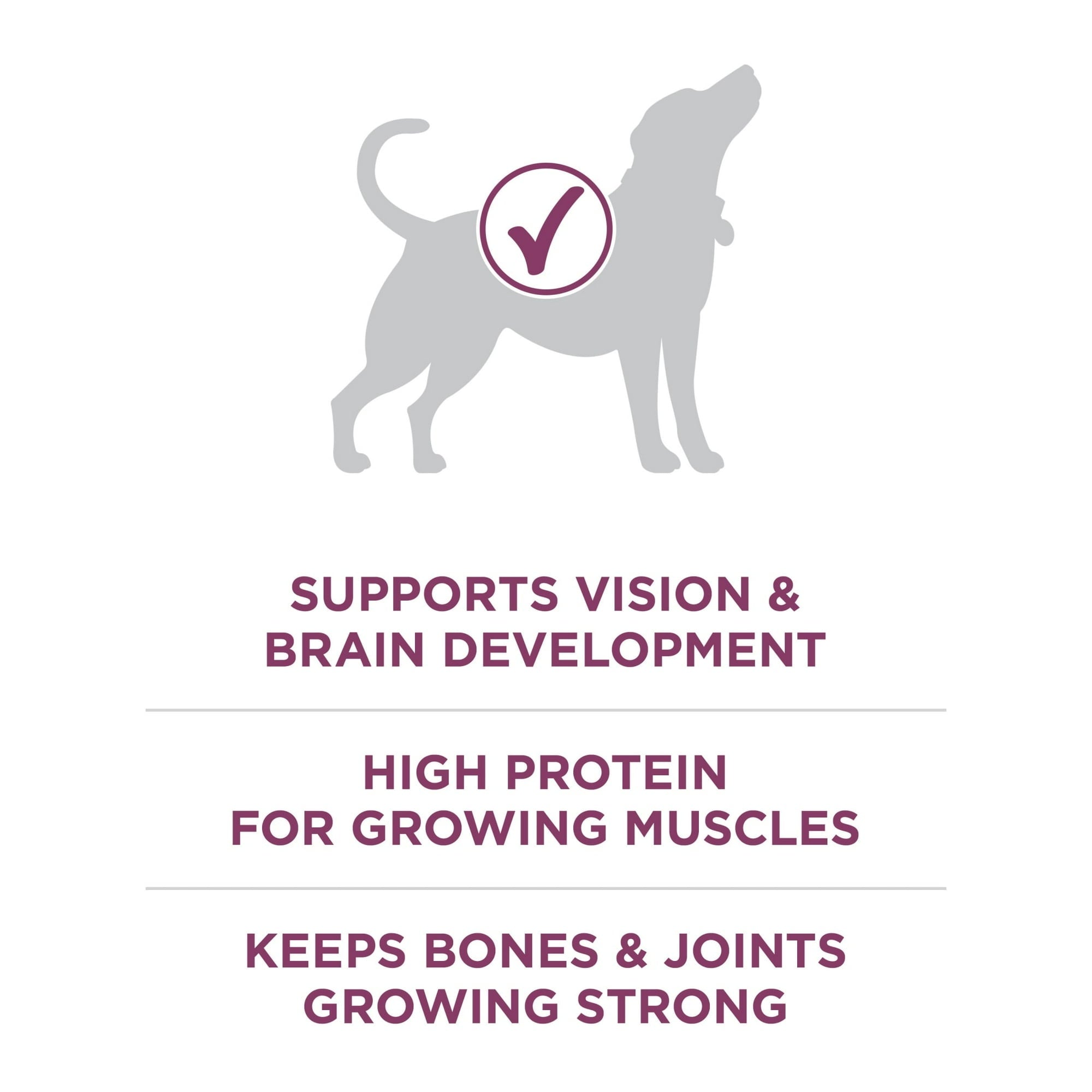 Purina ONE Plus Healthy Puppy Dry Dog Food, High Protein Growth Support with Real Chicken