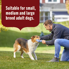 Adult dog being fed wet dog food by a person in an outdoor yard