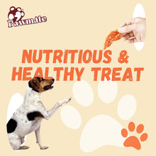 Chicken jerky dog treats: orange jerky held near a white-and-brown dog