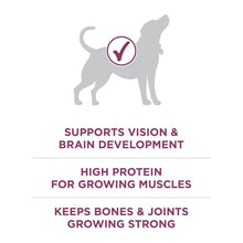 Dog silhouette graphic with support text for vision, brain, and growing muscles