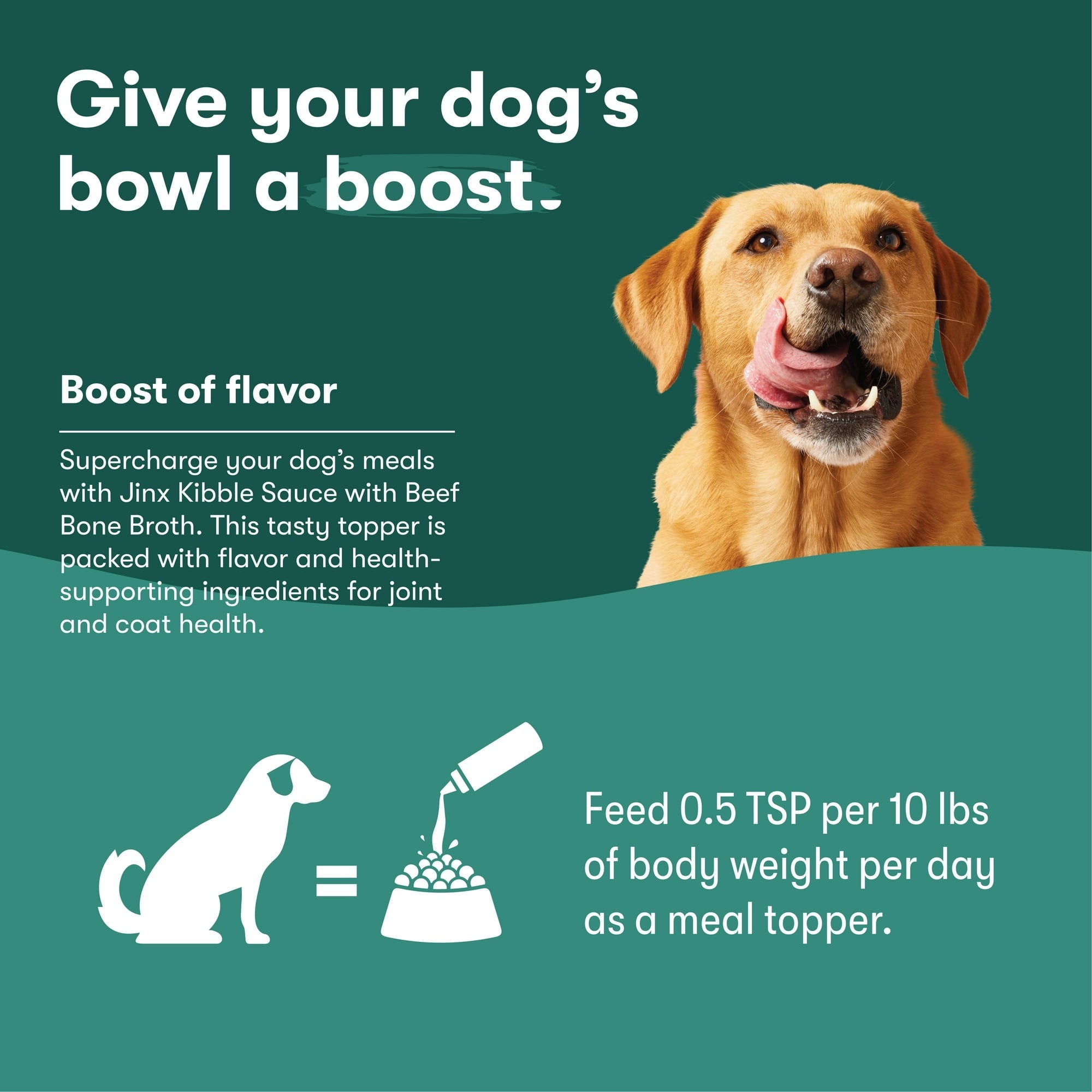 Jinx Kibble Sauce Beef Bone Broth Dog Meal Topper, 12 fl oz Bottle