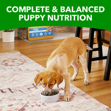 Puppy eating from bowl of Iams Proactive Health dry dog food with bag nearby.