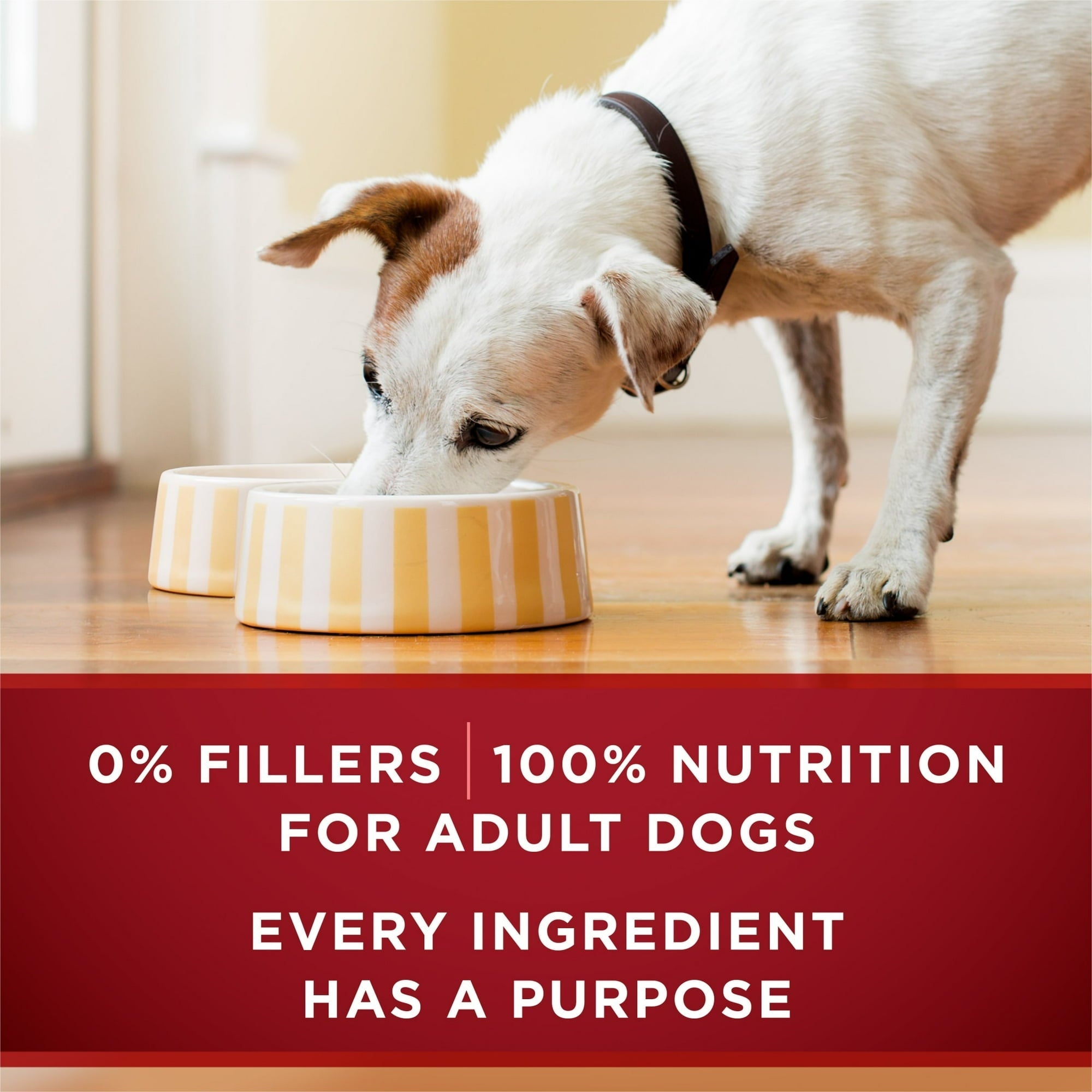 Purina ONE True Instinct Wet Dog Food, High Protein Soft Beef & Salmon, 13 oz Can