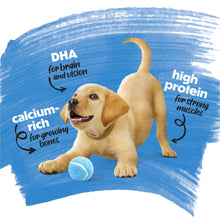 Purina Beneful Healthy Puppy kibble benefits graphic with DHA, calcium, and high protein