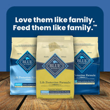 Blue Buffalo Life Protection Formula lineup of three dry dog food bags on a display