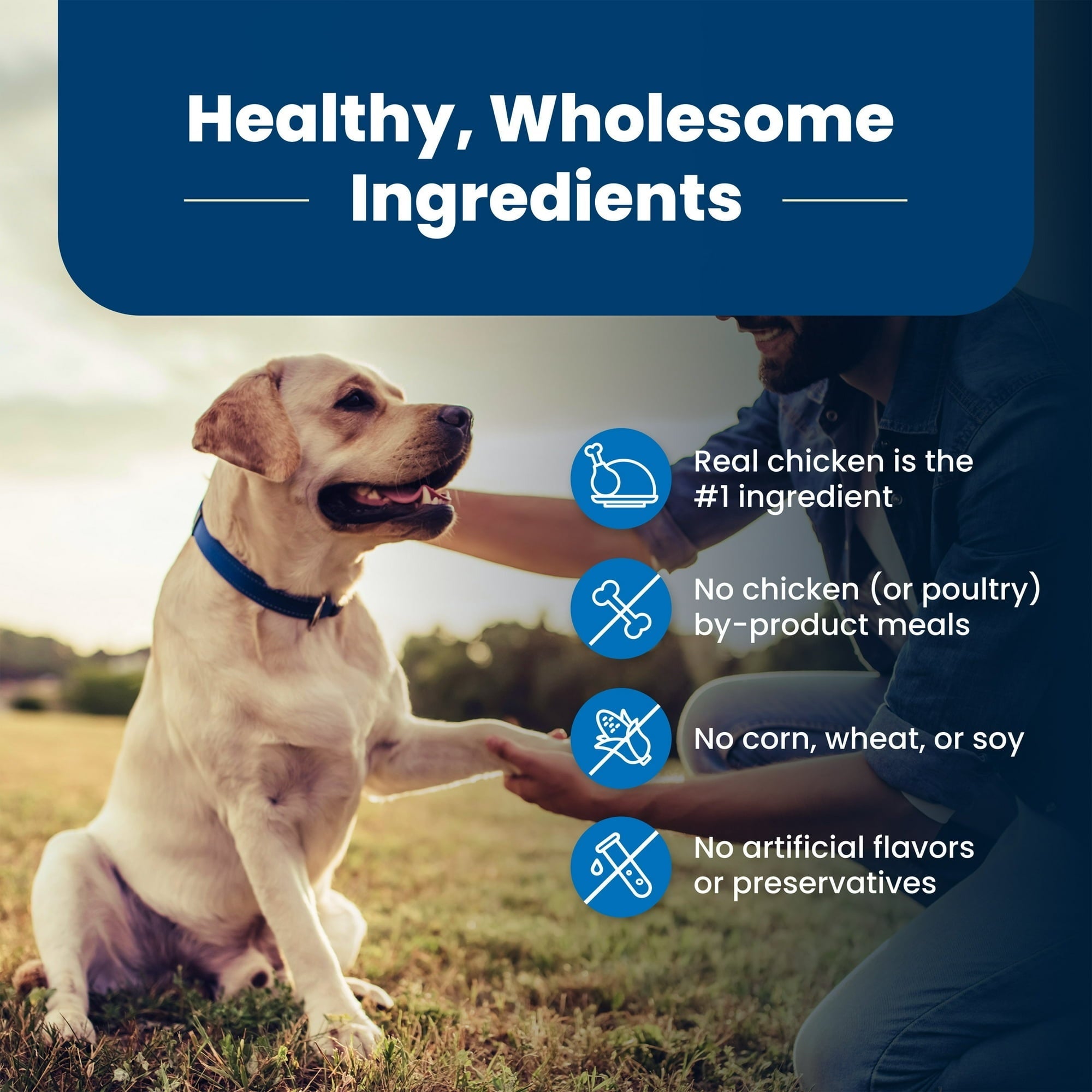 Blue Buffalo Life Protection Formula Senior Dry Dog Food, Chicken & Brown Rice
