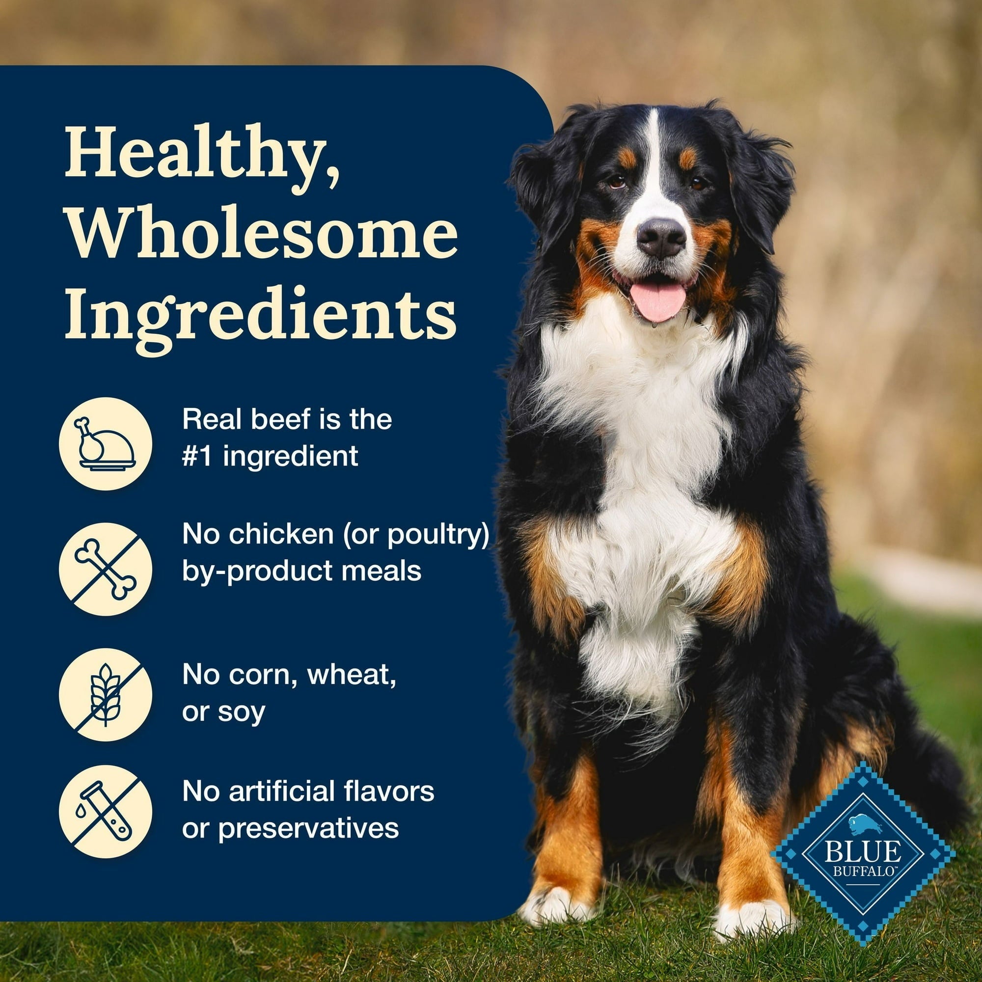 Blue Buffalo Delectables Natural Wet Dog Food Toppers, Hearty Beef, 3-oz Pouch