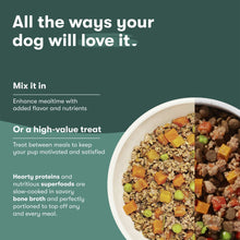 Dog food meal topper bowl with mixed wet kibble-topping texture and scattered treats