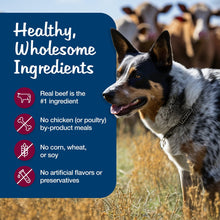 Grain-free wet dog food can label with healthy ingredients badges