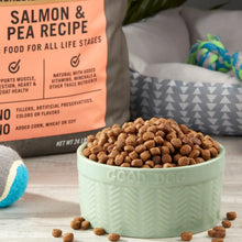 Dry dog food kibble in mint bowl with salmon & pea recipe bag behind it