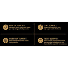 Dry dog food nutrition support icons: muscle, digestion, coat, heart