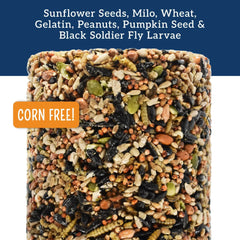 Love My Girls Peck 'N Roll Boredom Buster for Chickens, 2.5 lb. Seed Log, 1-Pack