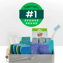 Assorted scrub sponges in green, blue, purple, and gray in a display tray with brush