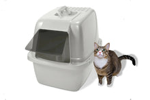 Hooded enclosed cat litter box in pearl white with open door; cat nearby