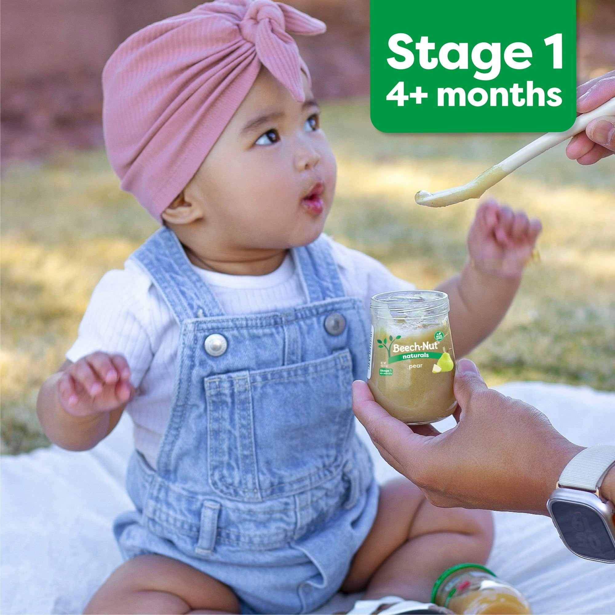 (6 pack) Beech-Nut Organics Stage 1 Organic Baby Food, Carrots, 4 oz Jar