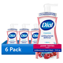 Dial foaming antibacterial defense hand soap, power berries scent, 6-pack bottles