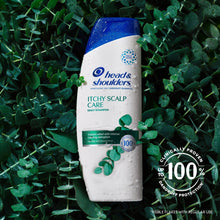 Itchy scalp care dandruff shampoo bottle with blue cap and eucalyptus leaf graphics