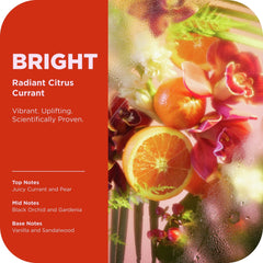 (6 pack) OLLY Bright Body Scrub Exfoliates & Repairs Skin Barrier Citrus Currant, 6 oz