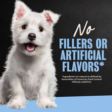 Cesar puppy wet dog food promotional graphic with white puppy and blue text