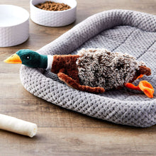 Plush duck dog toy with green head and brown wings resting on gray pet bed