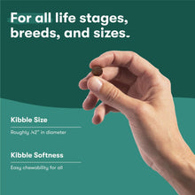 Dog food kibble size and softness graphic with a single kibble