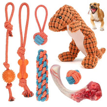 Dog toy bundle with orange rope toy, blue braided rope, plush textured bone and red chew