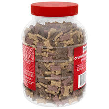 Dog treat canister back label with barcode and mini bone-shaped biscuits
