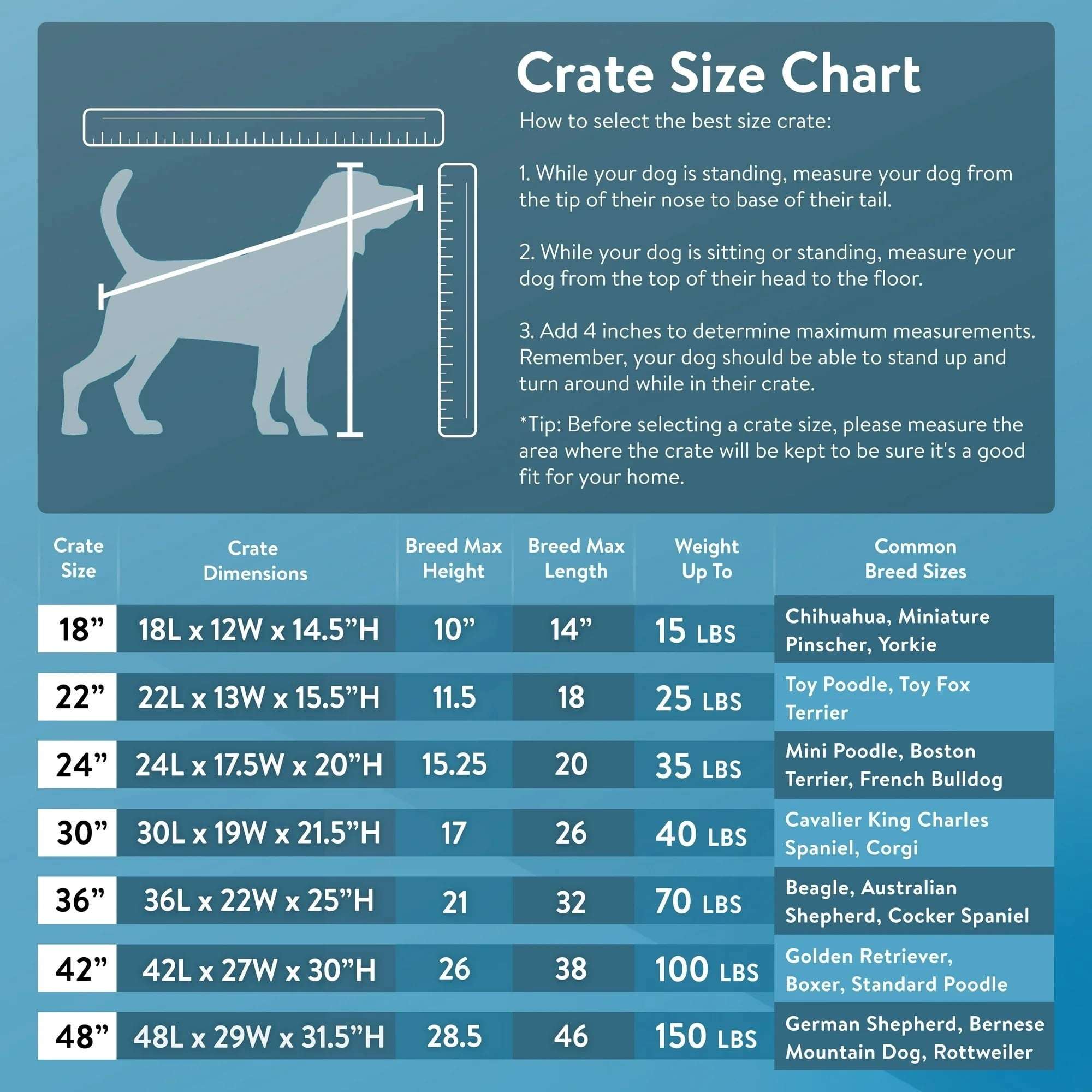 Vibrant Life Foldable 22" Wire Crate for Dogs with Divider and Leak-Proof Tray